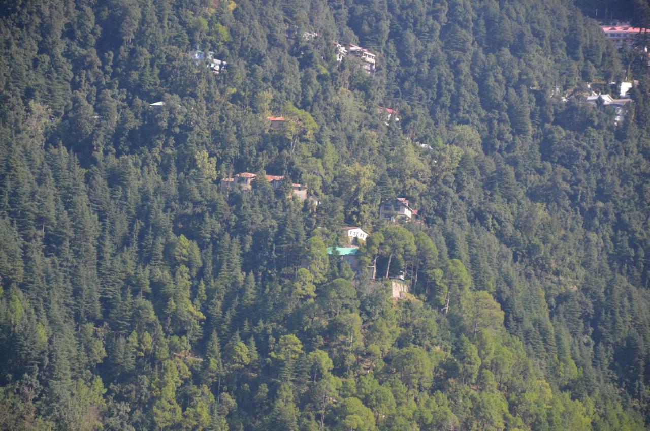 Peaceful Retreat Home Stay, Dalhousie Buitenkant foto